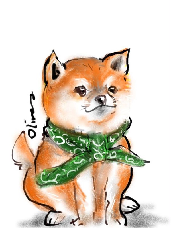 秋田犬