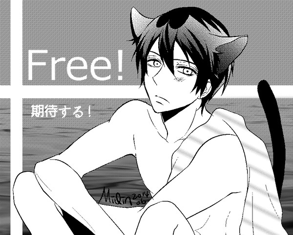 [腐Free] 貓耳Haru