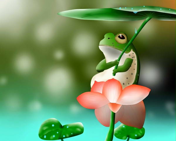 雨とカエル