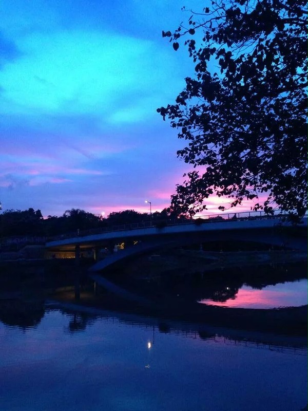 美麗風景 beautiful night