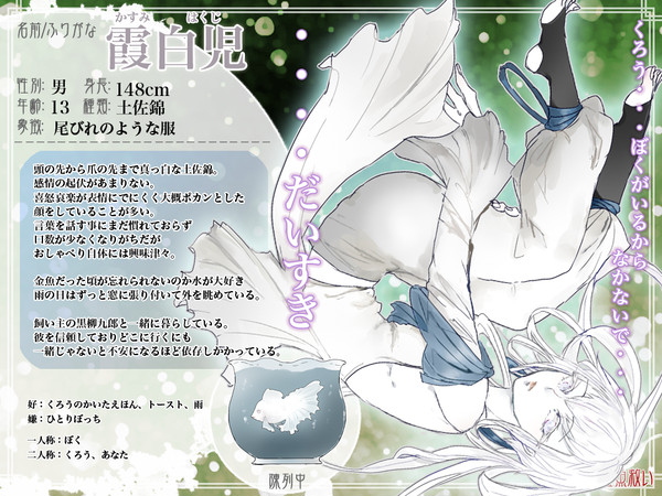 【金救】霞白児【金魚】
