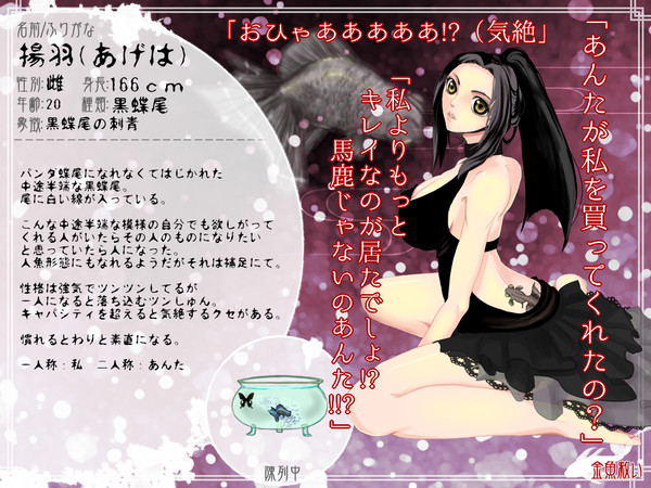 【金救】揚羽【金魚】