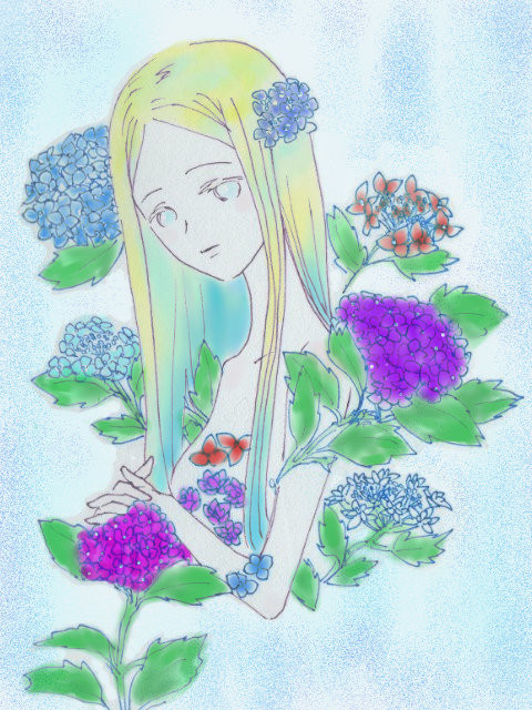 アジサイ