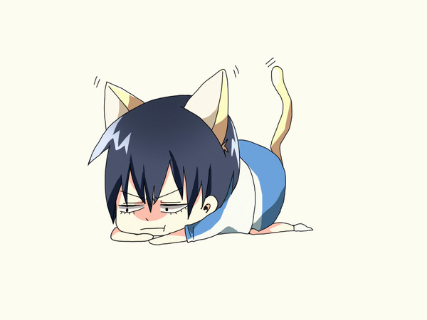 アラキタ