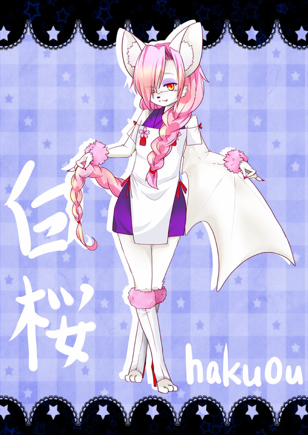 【はんもん】 白桜 【エントリー】