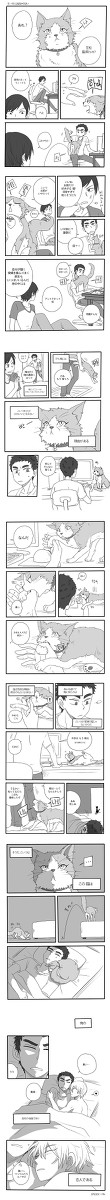 [黄笠] 黄瀬が猫になってしまった黄笠
