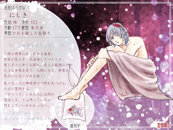 【金救】にしき【金魚】