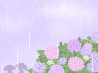 紫陽花