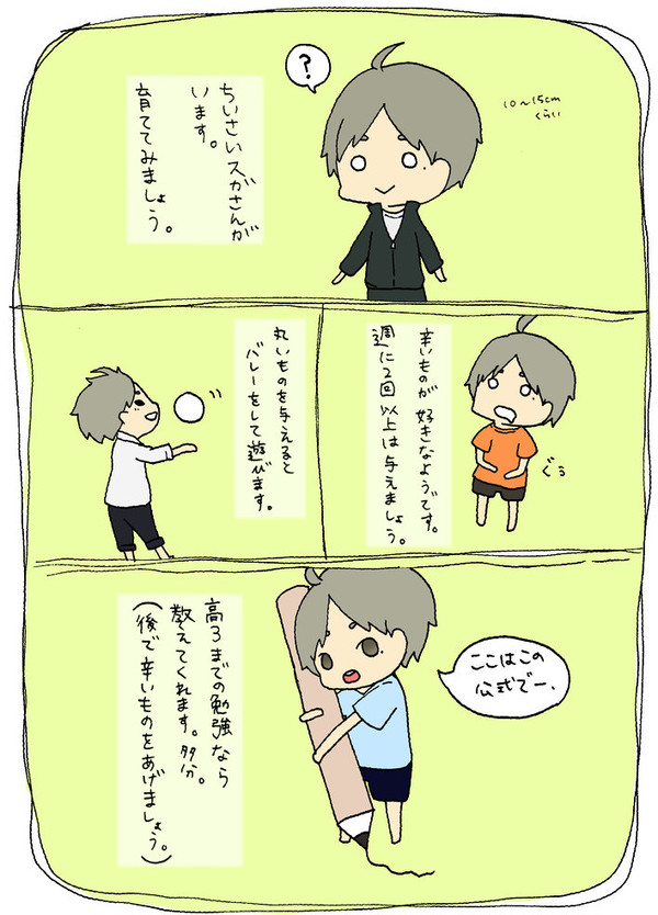 小さいすがさん