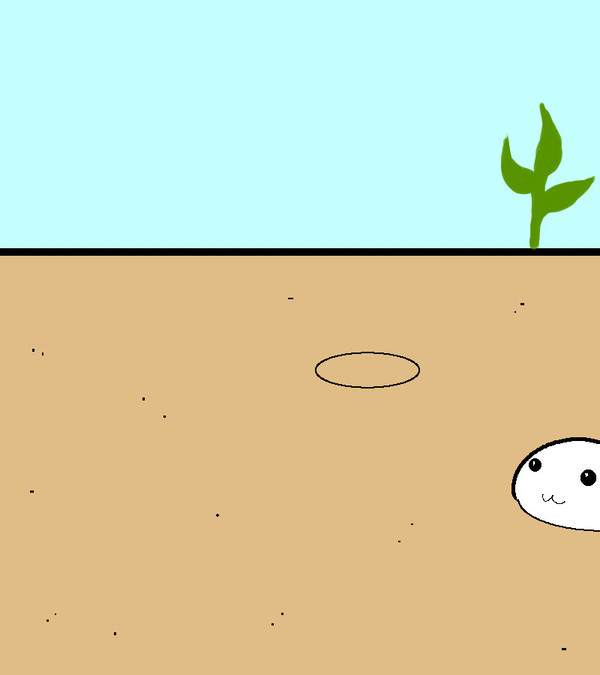チンアナゴ