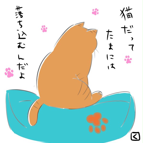 猫だって