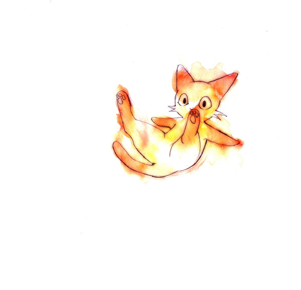 でんぐり猫