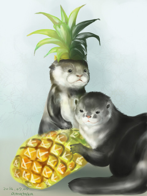 カワウソとパイナップル（下書き）