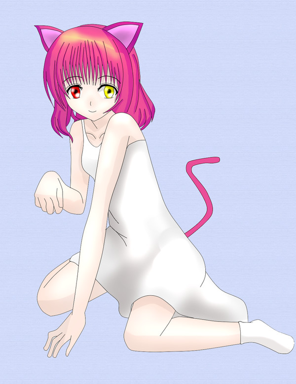 ねこみみ