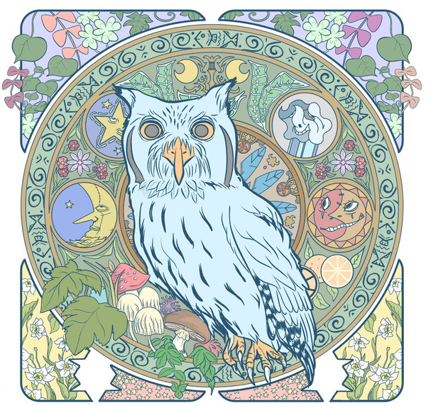 コノハズクのいる生活