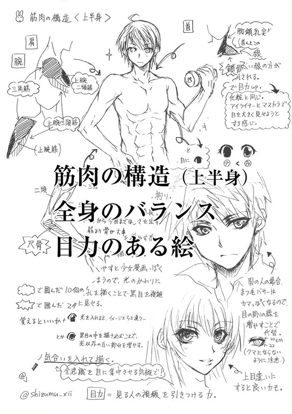 【プチ講座】その9/身体(筋肉・バランス・目力)