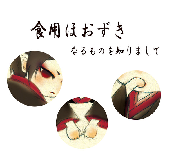 食用ほおずき