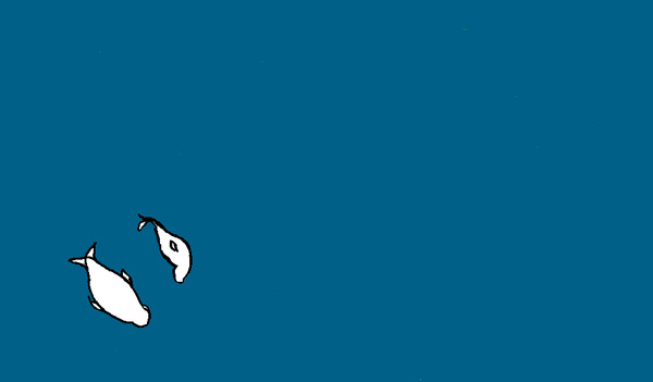 ジュゴン