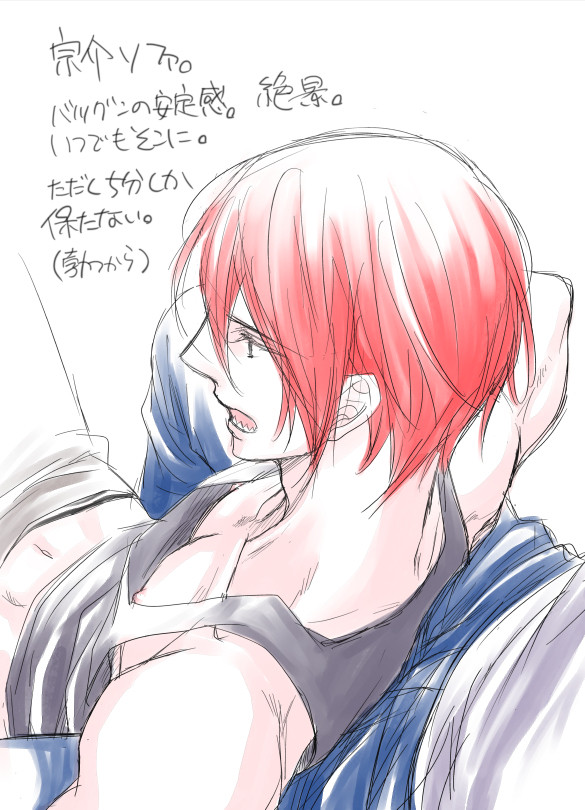 宗介ソファ