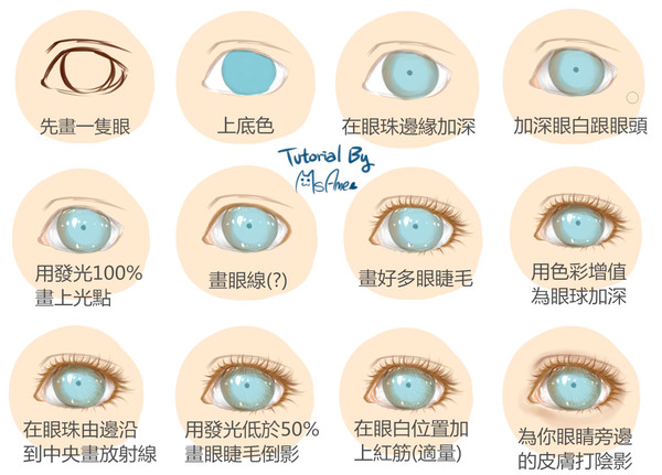 目の描き方