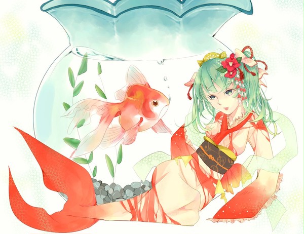 涼しい金魚鉢