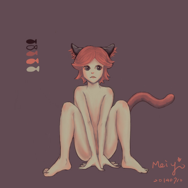 色票-NO-13