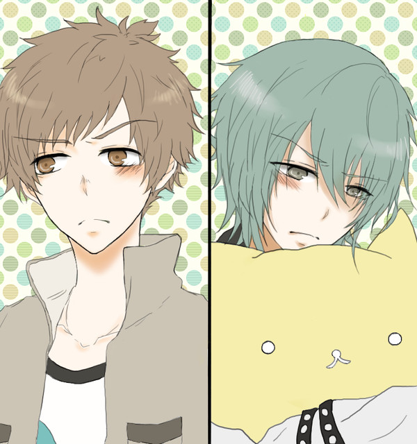 プロセラ詰め
