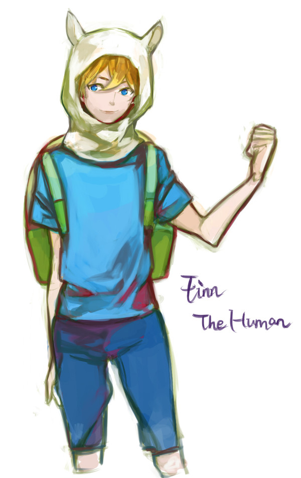 FINN THE HUMAN