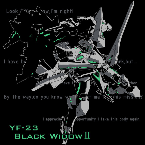 【C86新作01】　欧州に現れし灰色の幽霊YF-23Tシャツ