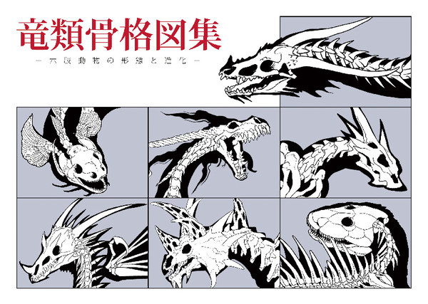 竜類骨格図集
