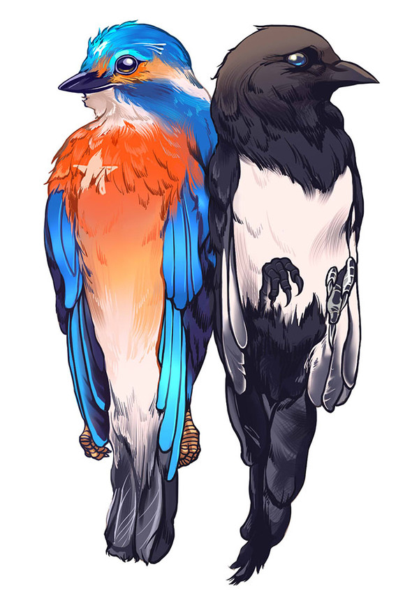 bird
