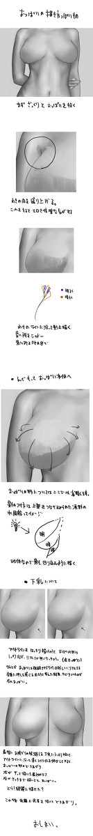 個人的おっぱいの描き方