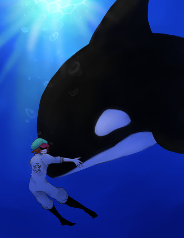 鯱