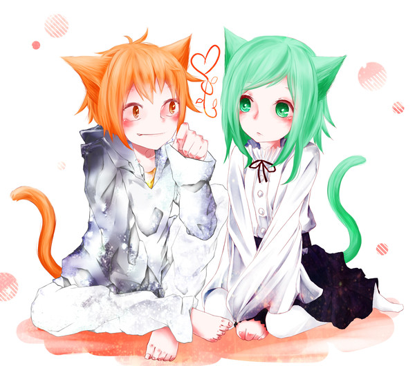 カノキド