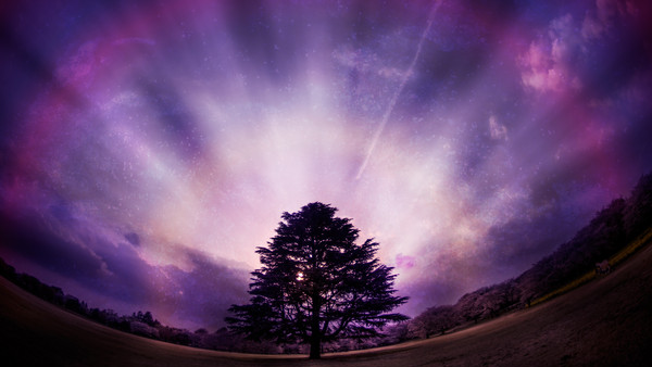 tree