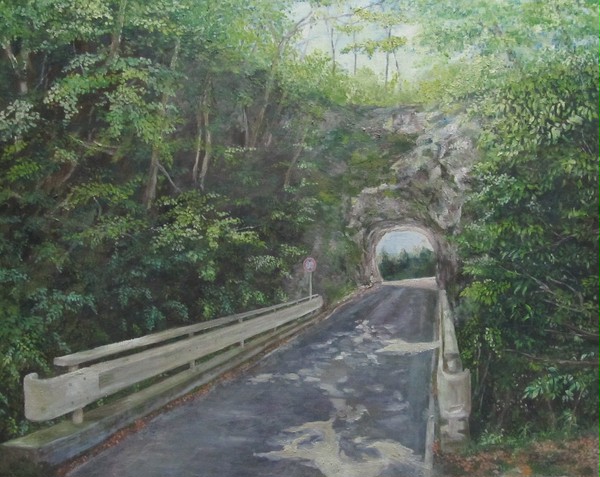 日向のトンネル　（Ｆ30）