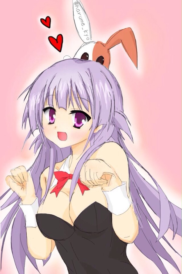 バニー！