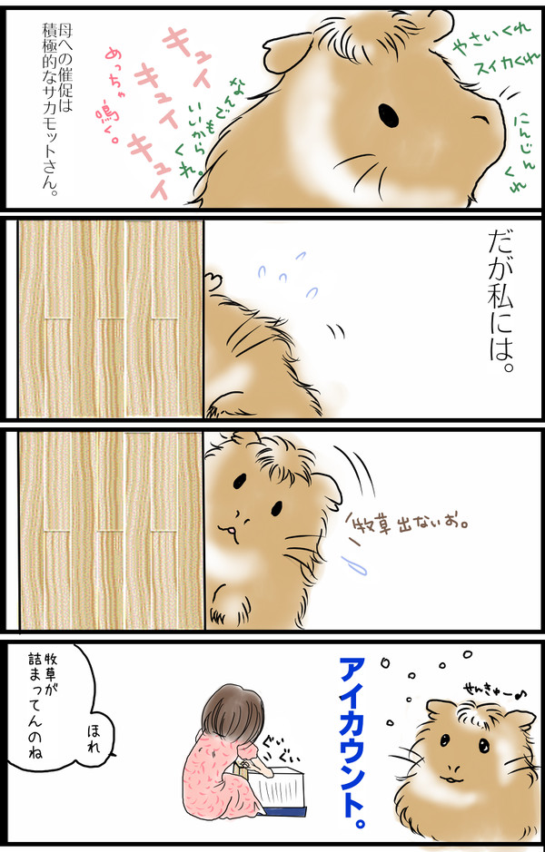 ひかえめ