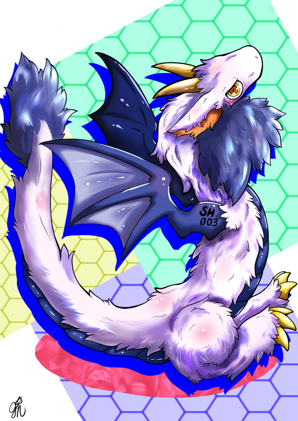 シャオン君
