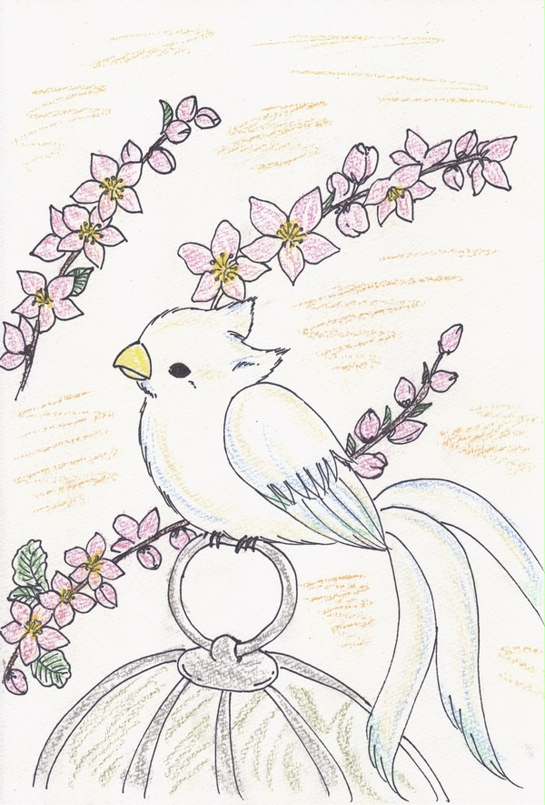鳥籠とわたぬき