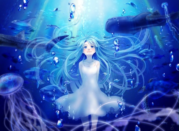 水中散歩