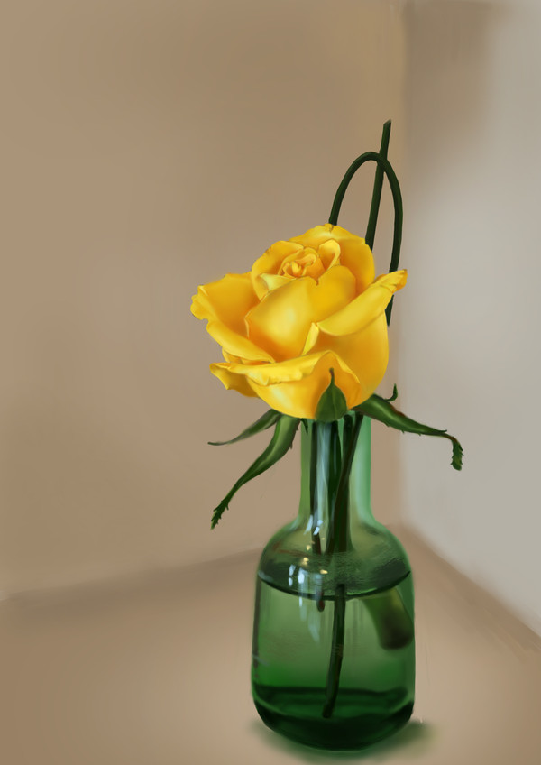 yellow rose