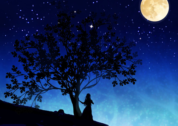 私だけの月夜