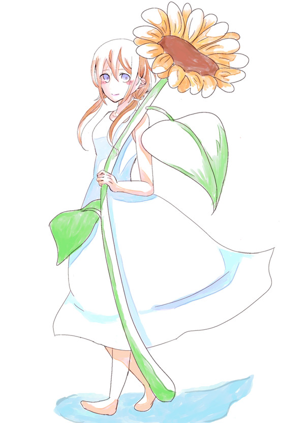 ひまわり
