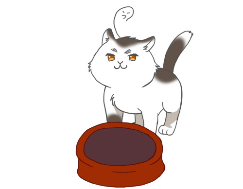元気なかんこくねこ