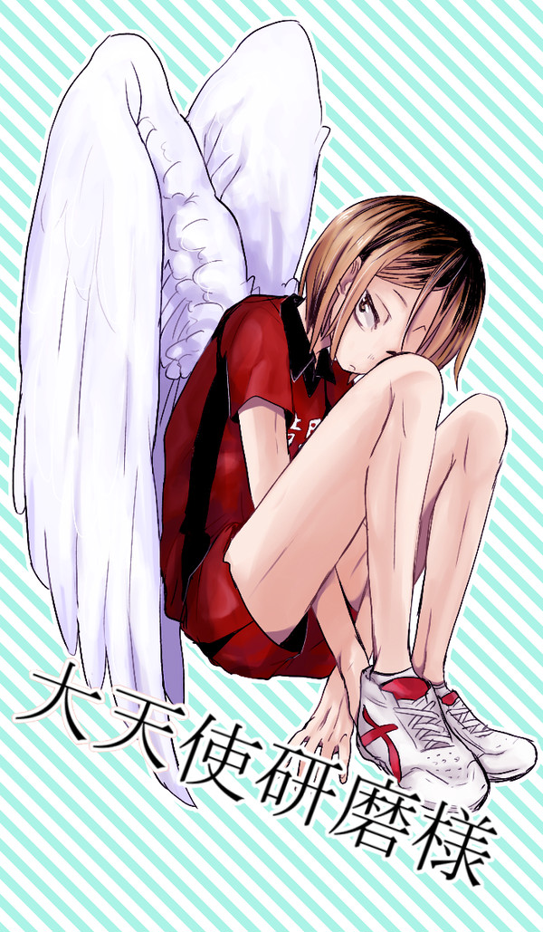 【腐】ひなけん②（プラスα）
