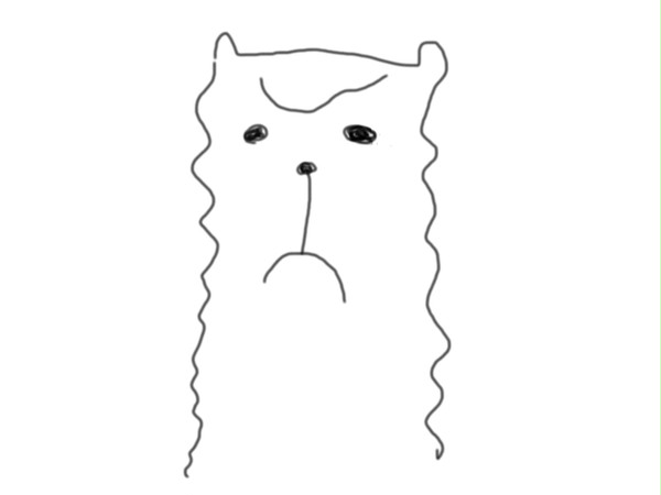 あるぱか