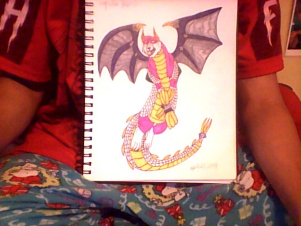 catdragon!!!
