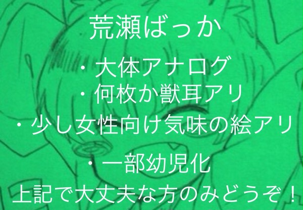 荒瀬詰め合わせ