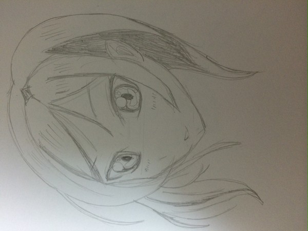 西木野 真姫ちゃん
